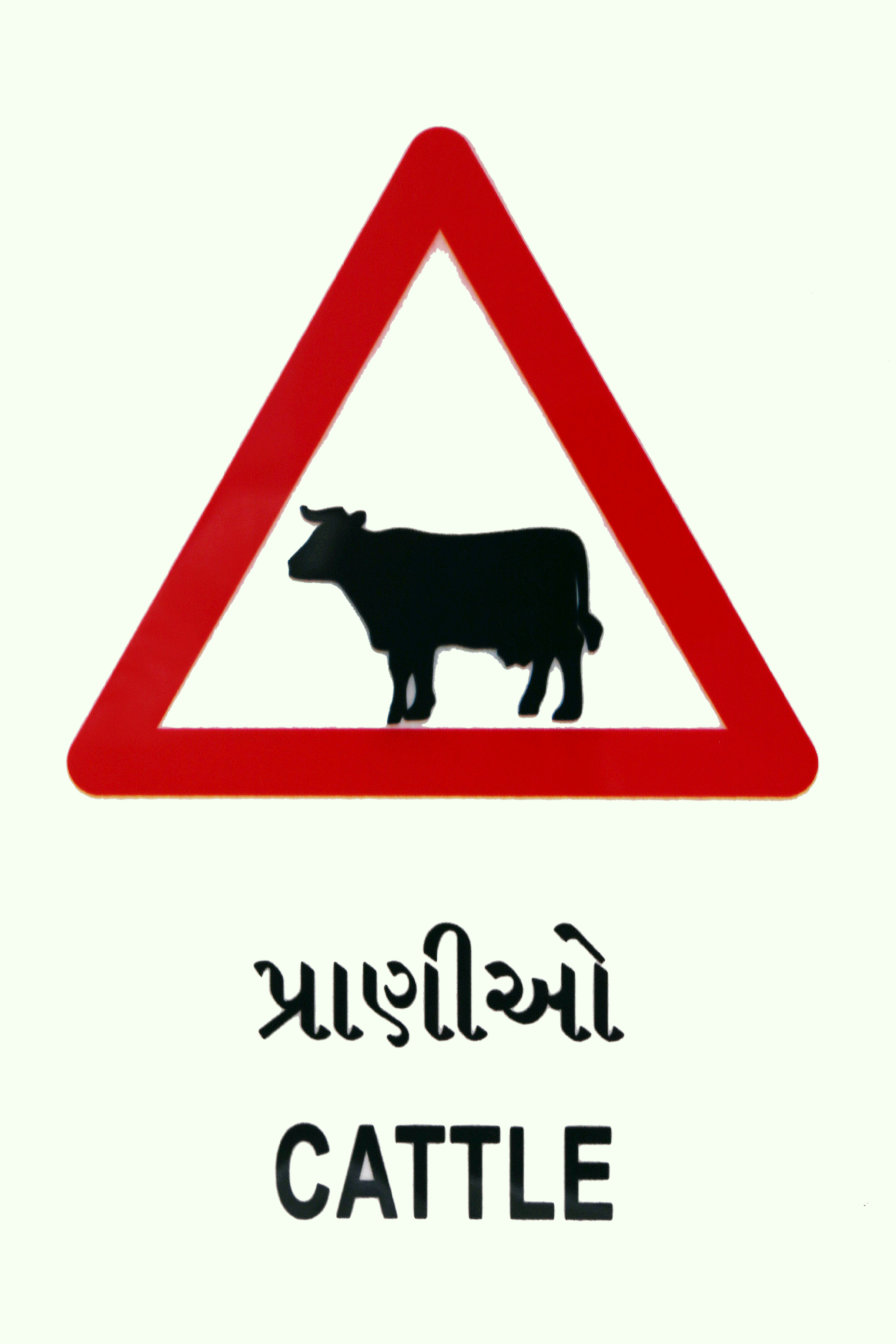 Ambica Indian Traffics Signs